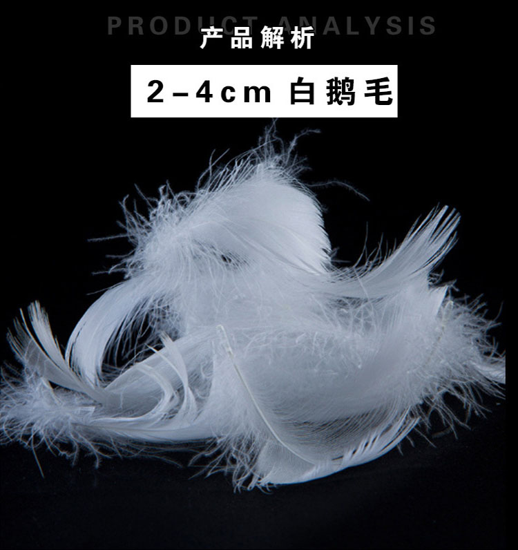 de8e3168c585ef0bfeb2bfc01d249d41.jpg
